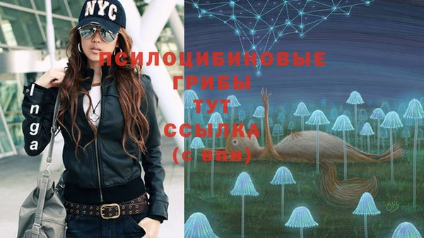 скорость Абинск
