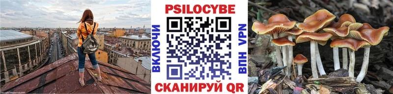 Галлюциногенные грибы Psilocybe  Курлово 